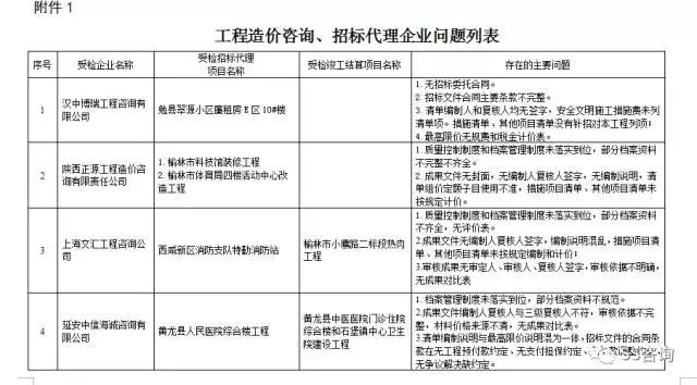 工程造價(jià)咨詢、招標(biāo)代理企業(yè)問(wèn)題列表